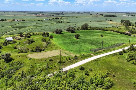 Next Photo