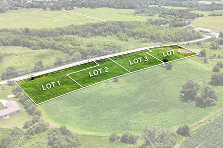 Next Photo