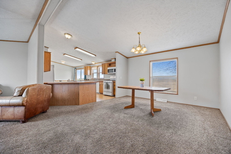 Next Photo