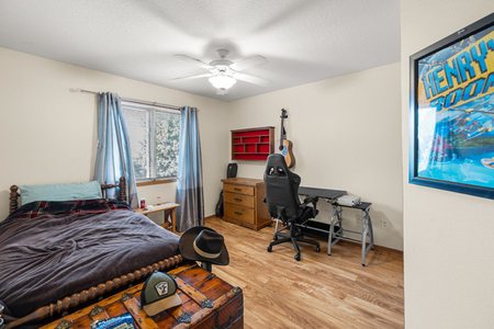 Next Photo