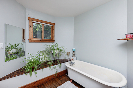 Next Photo